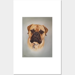 Albert - bull mastiff Posters and Art